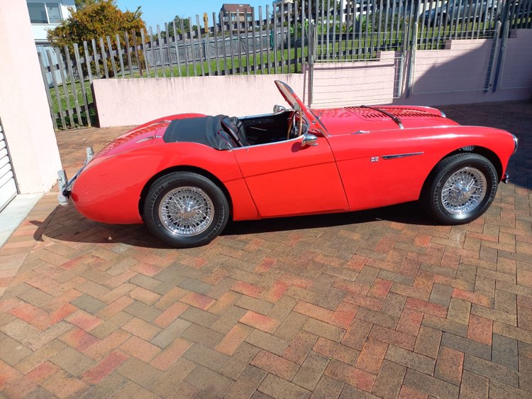 1955 AUSTIN HEALEY LEMANS RACE CAR