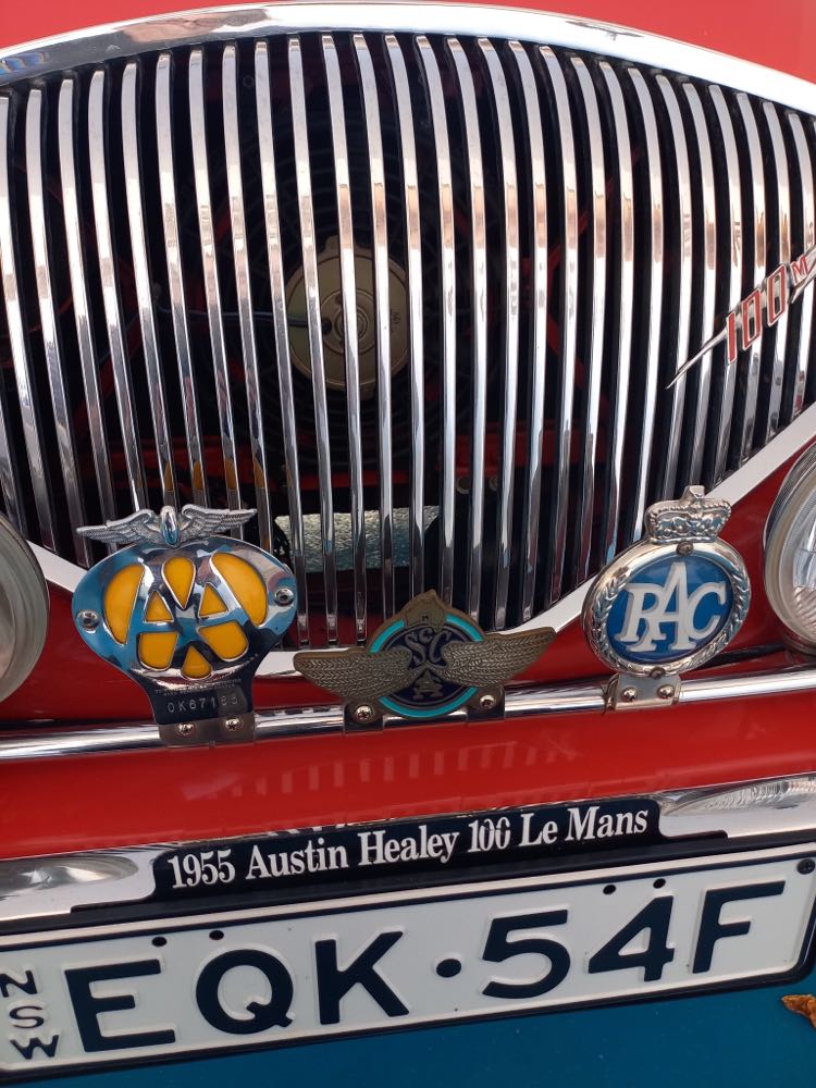 1955 AUSTIN HEALEY LEMANS RACE CAR