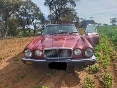 1985 JAGUAR XJ6 SERIES III SEDAN