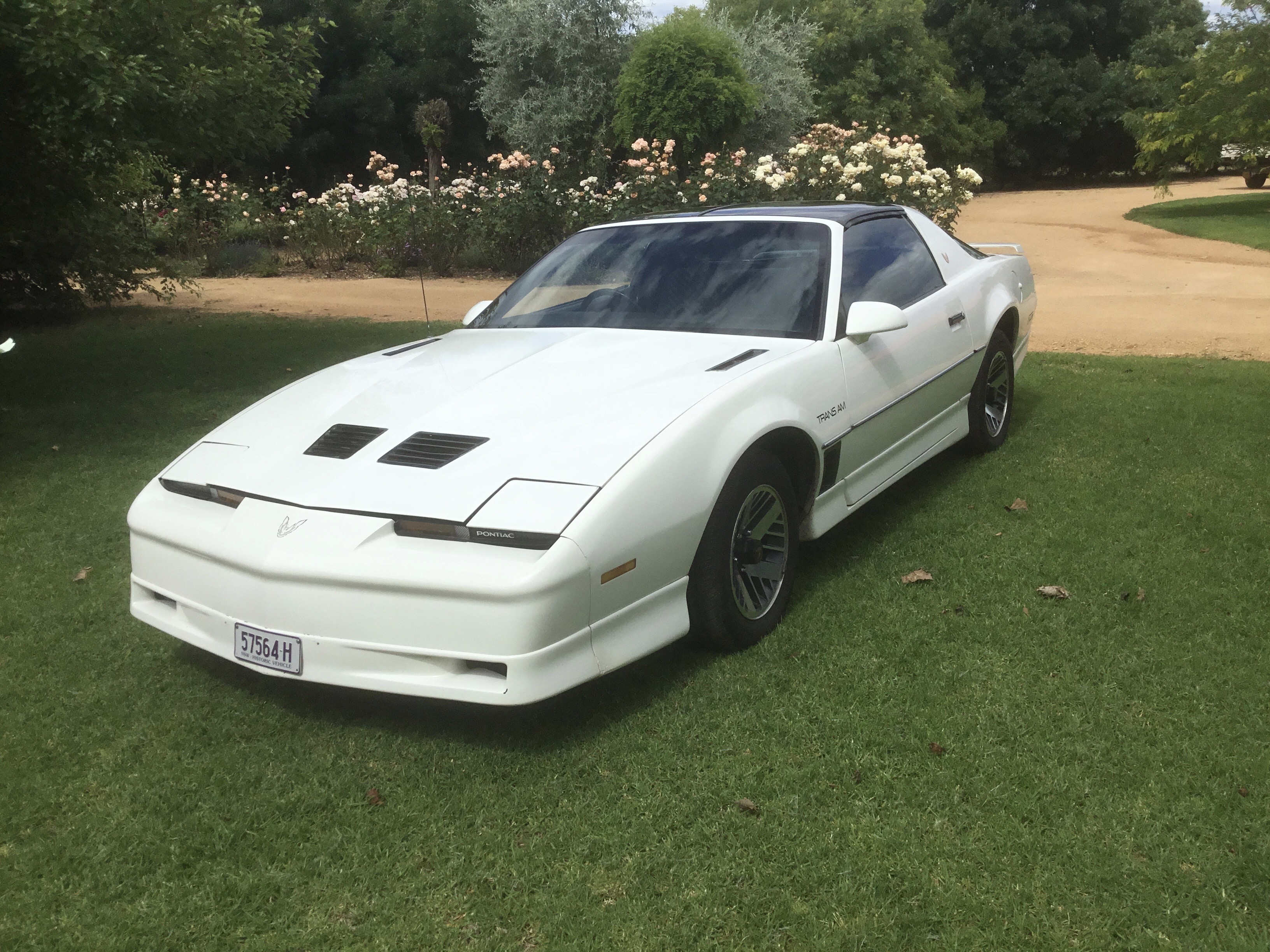 1985 PONTIAC FIREBIRD TRANS AM COUPE