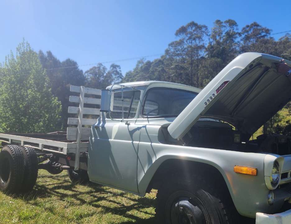 1957 FORD F600 TRAY