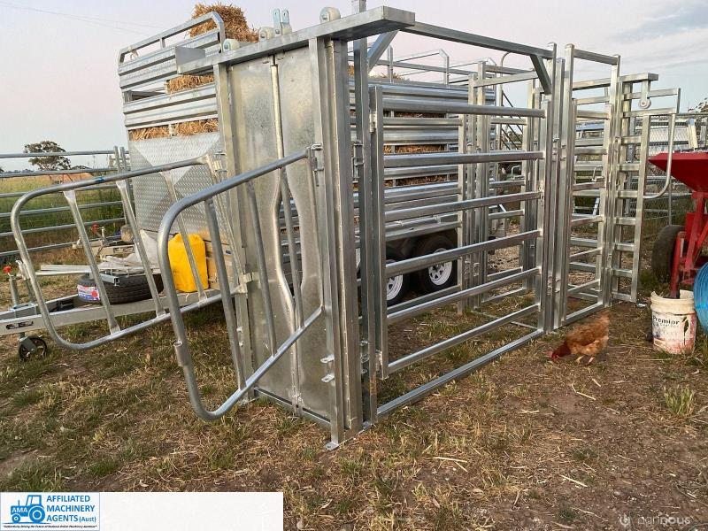Galv Cattle Crush