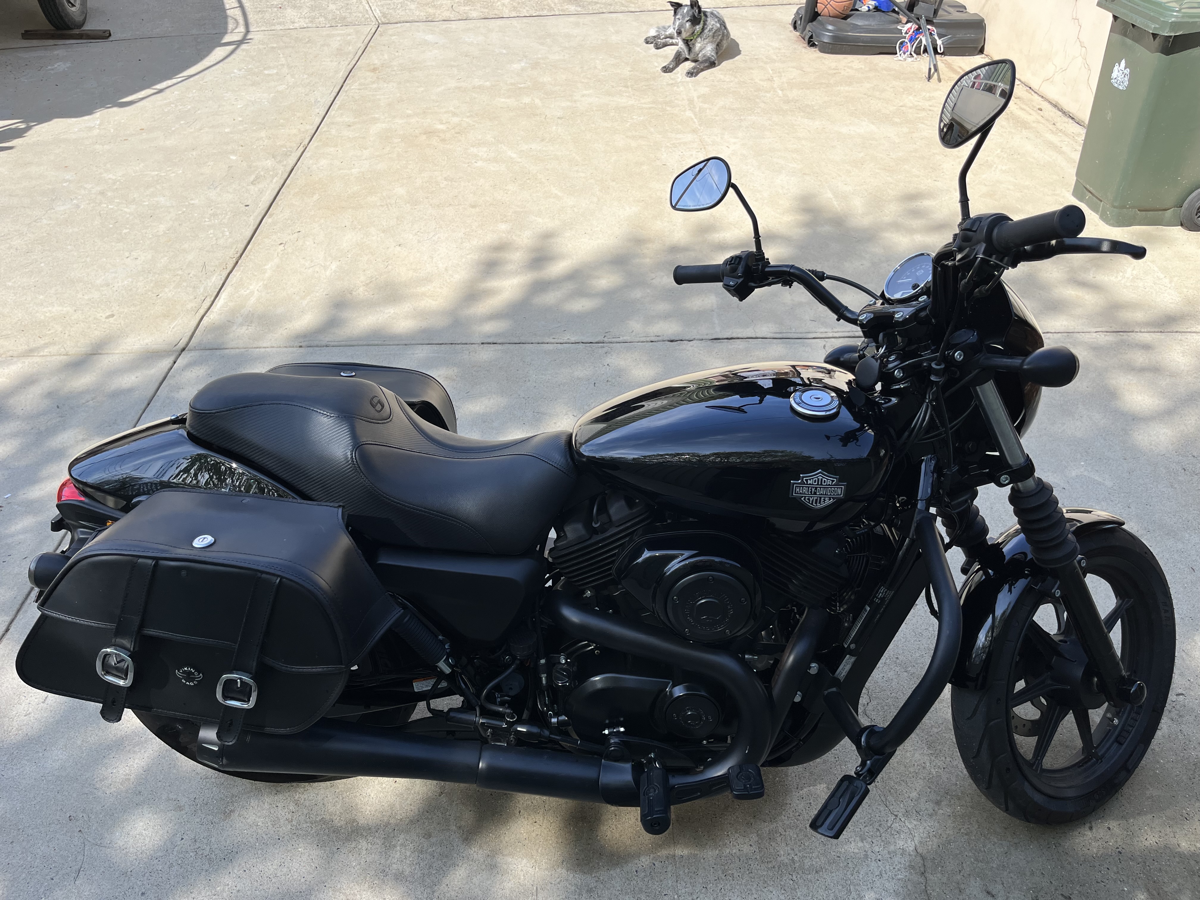 2019 HARLEY-DAVIDSON XG500 STREET 500 CRUISER