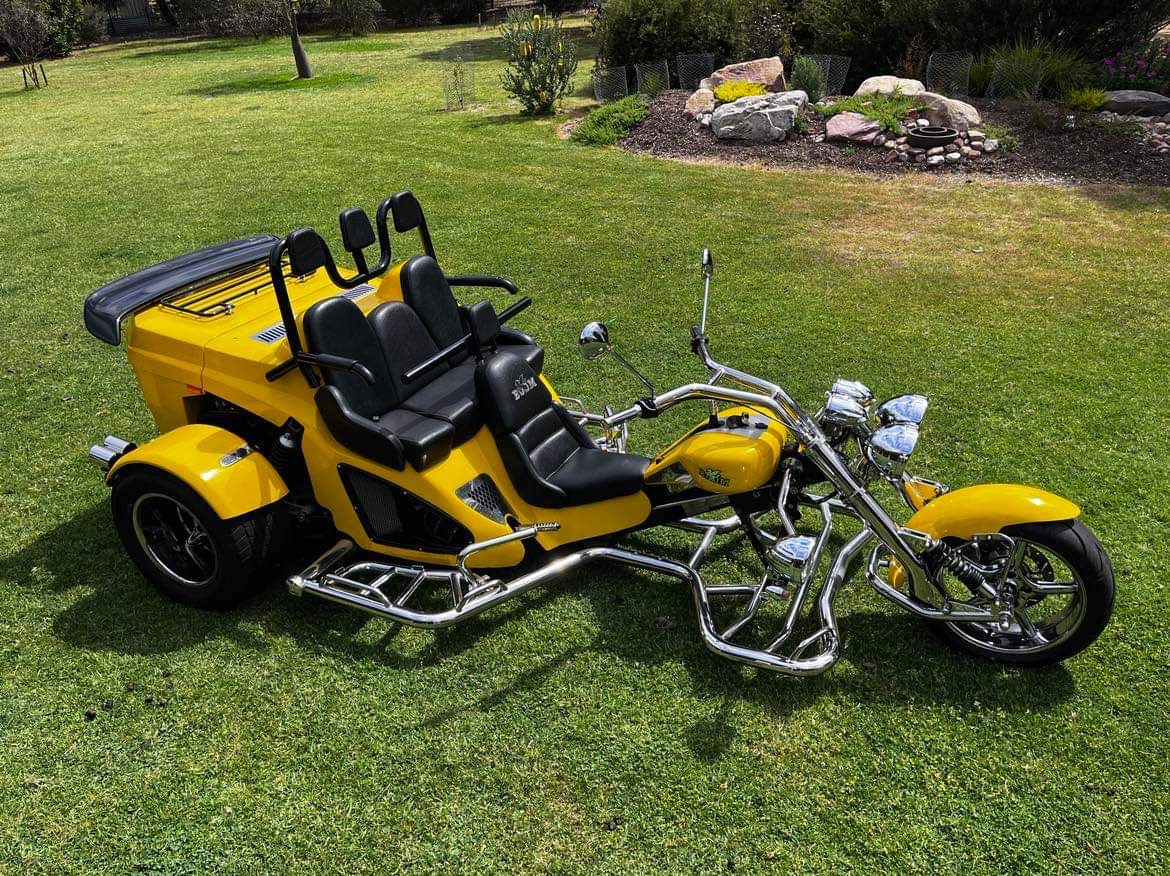 2019 BOOM MUSTANG FAMILY ST1 TRIKE