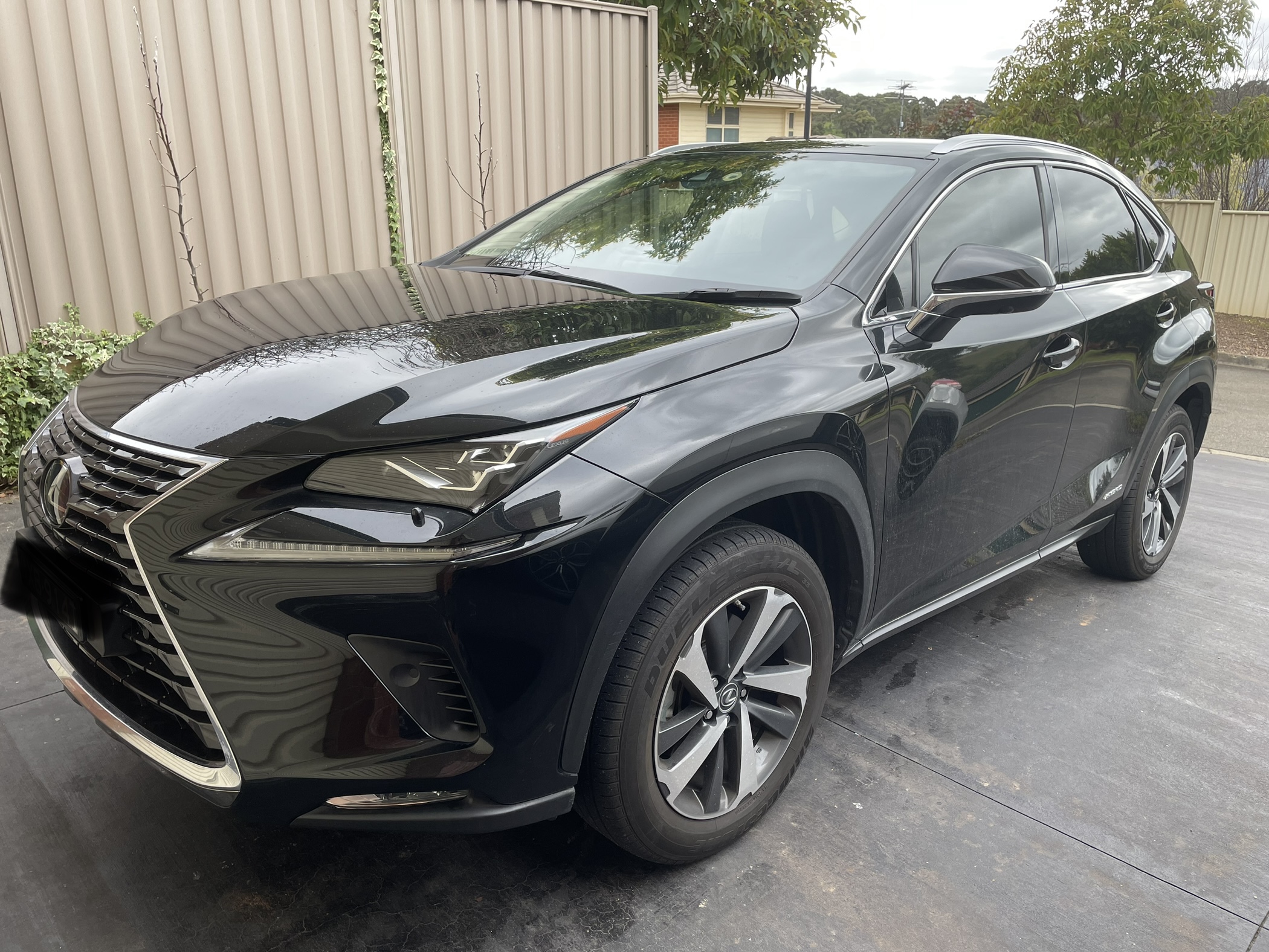 2020 LEXUS NX300h AYZ15R SPORTS LUXURY HYBRID (AWD) CVT AUTO 6 SPEED 4D WAGON