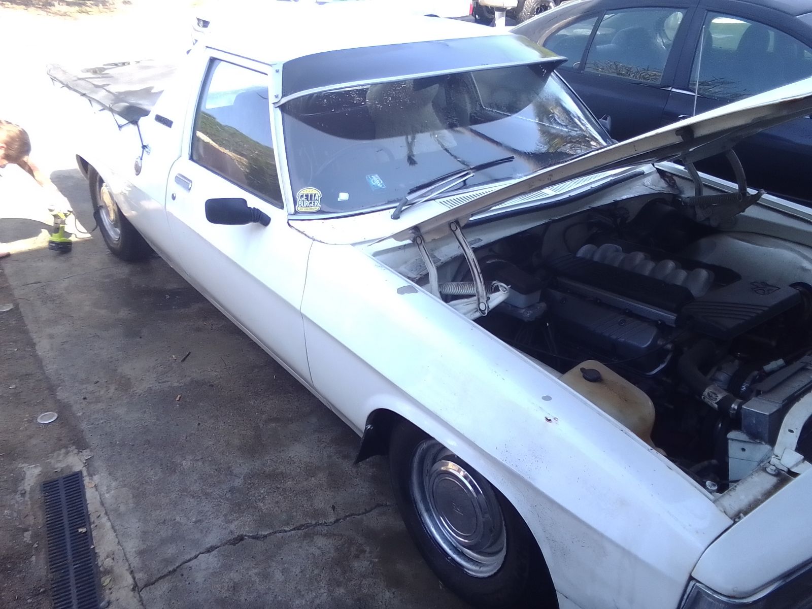 1980 WB STYLESIDE UTE