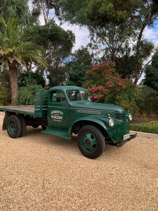 1940 CHEVROLET TRAY 