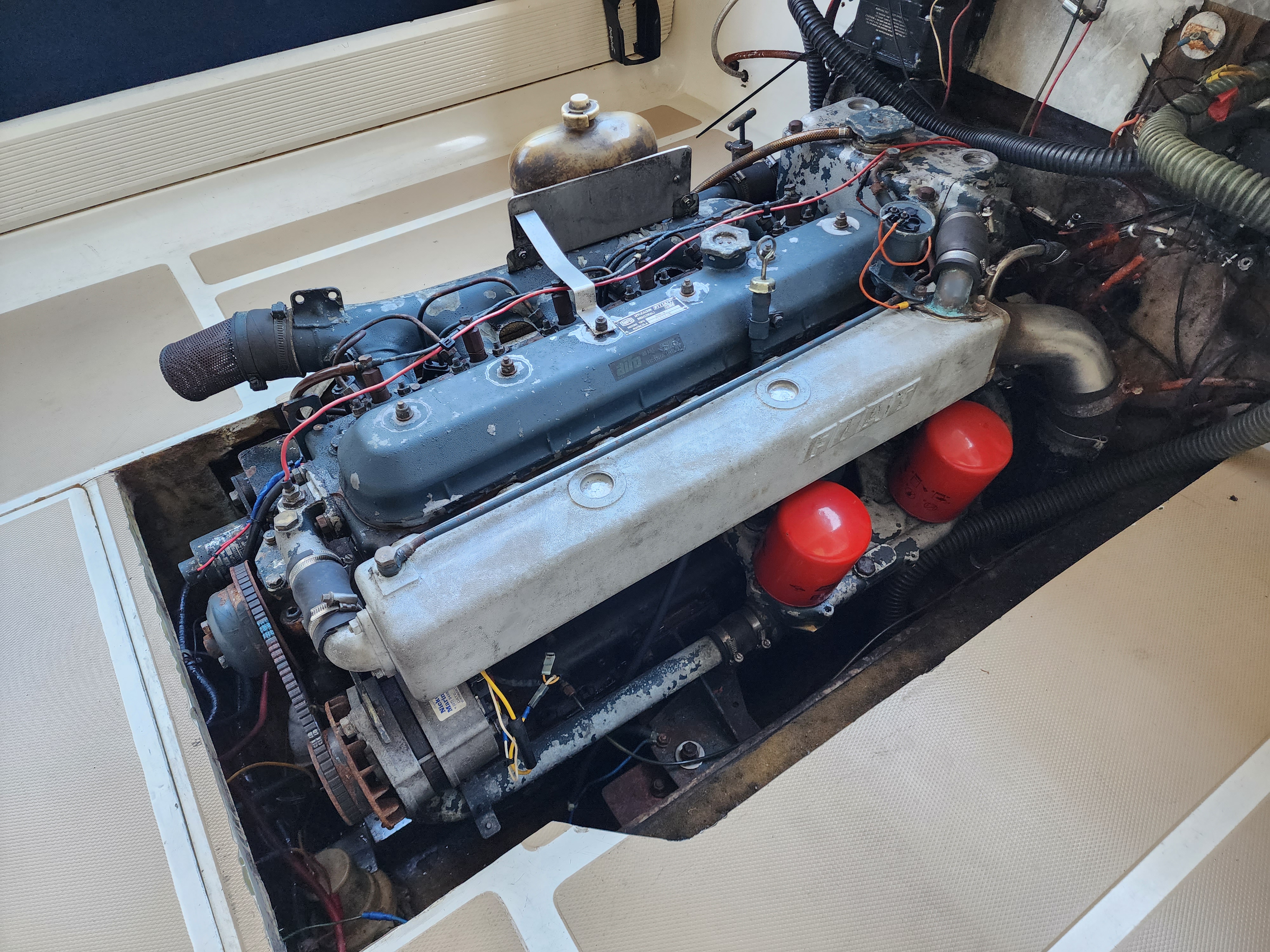1984 SAVAGE 10' /305 PUNT