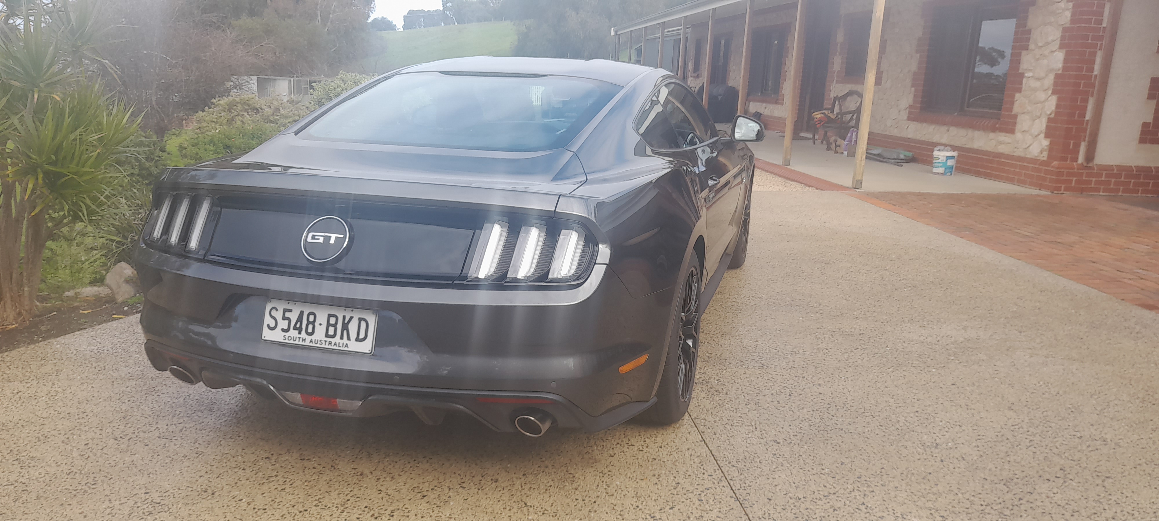 2015 FORD MUSTANG FM GT FASTBACK