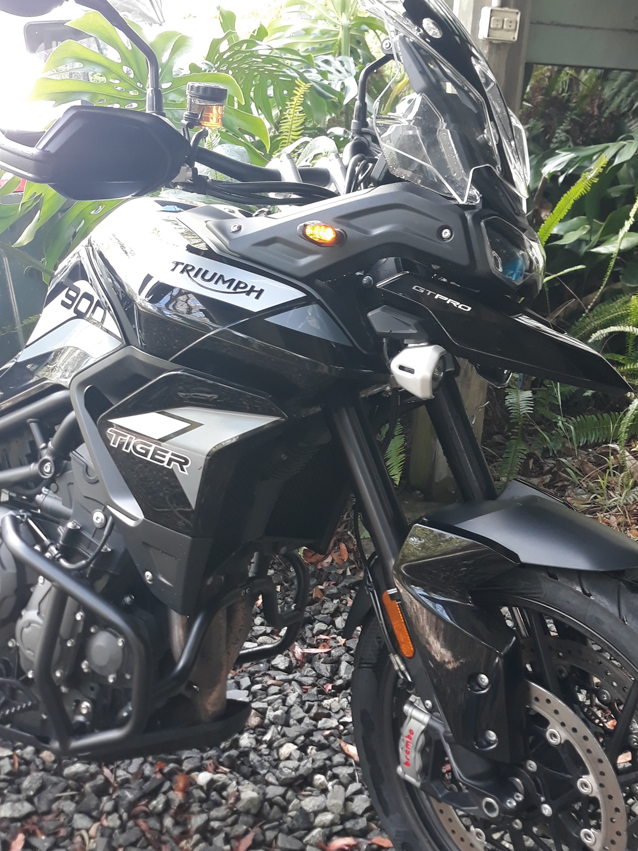 2023 TRIUMPH TIGER 900 GT PRO ADVENTURE BIKE