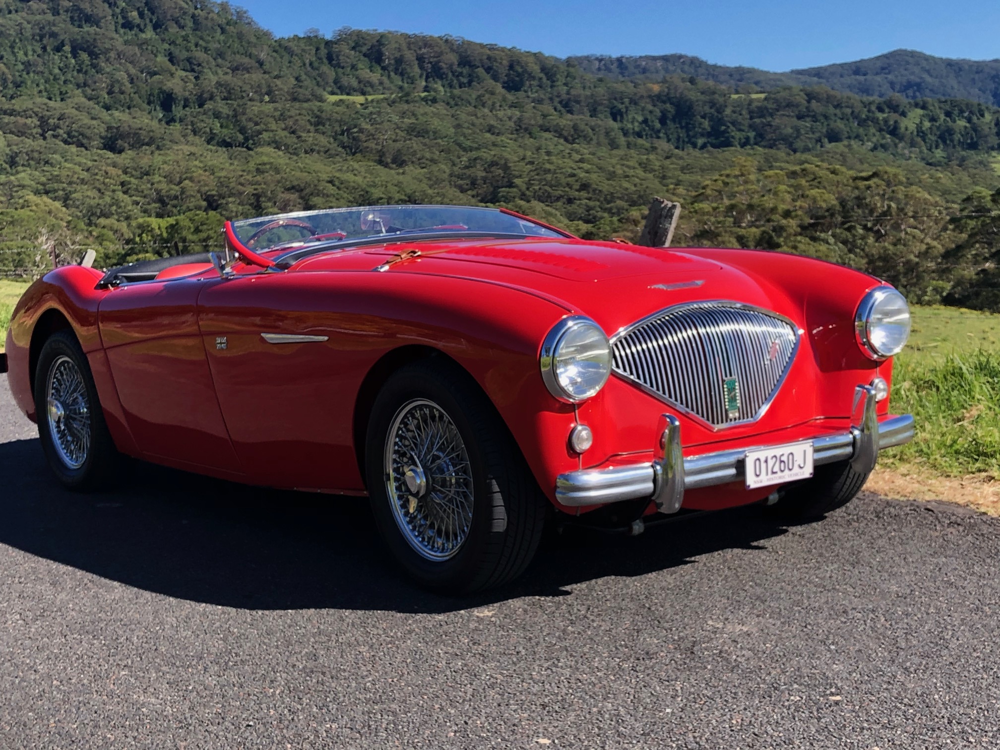 1955 AUSTIN HEALEY 100 BN1 CONVERTIBLE