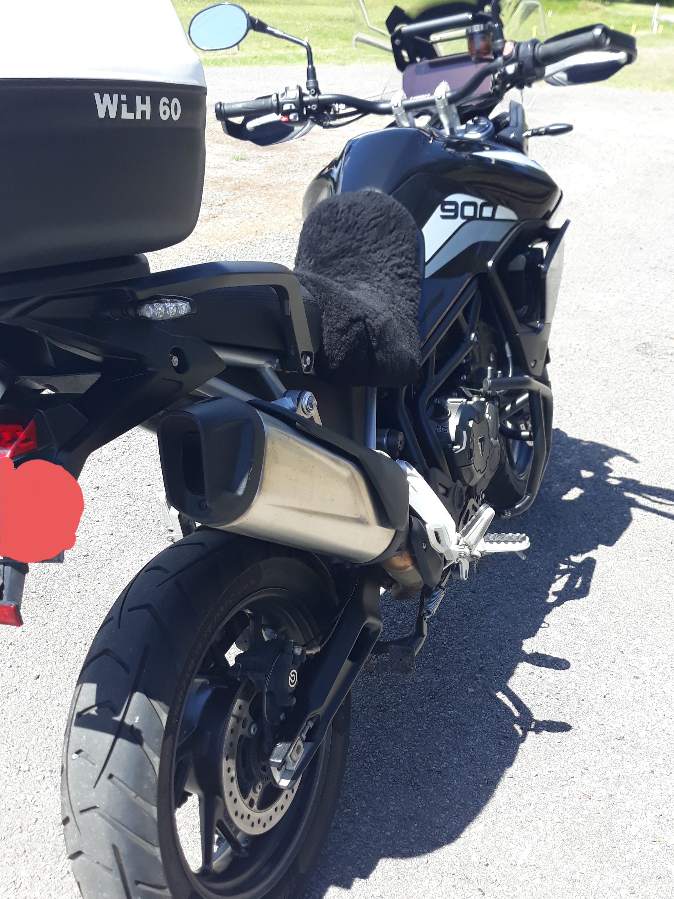 2023 TRIUMPH TIGER 900 GT PRO ADVENTURE BIKE