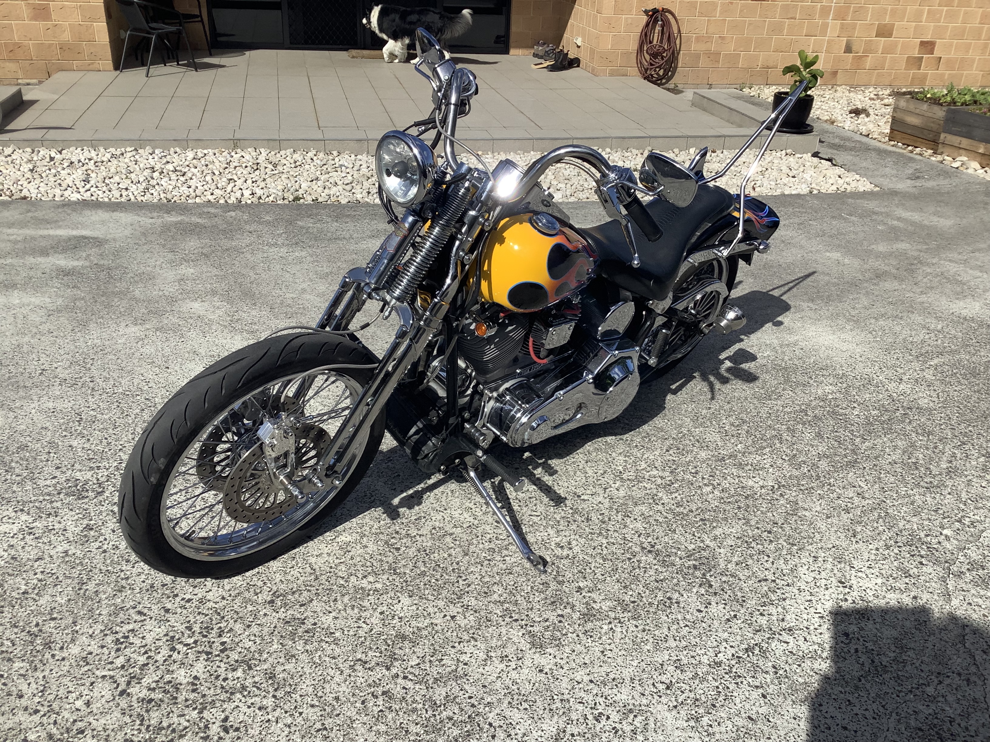 2004 HARLEY-DAVIDSON FXST SOFTAIL CRUISER