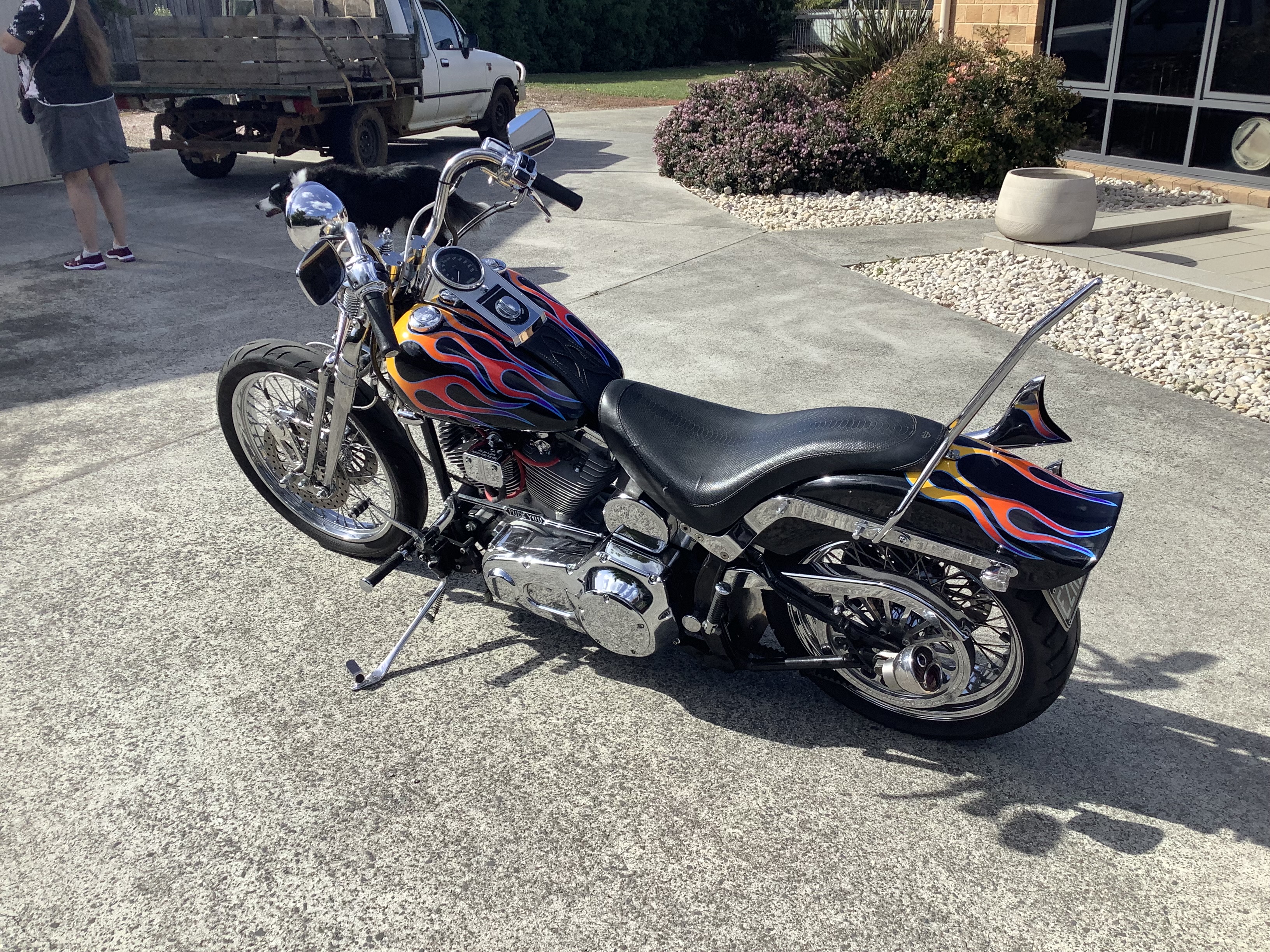 2004 HARLEY-DAVIDSON FXST SOFTAIL CRUISER