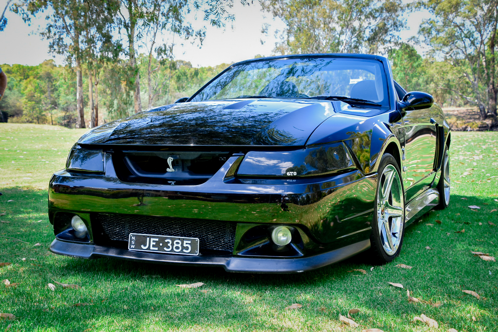 2003 FORD MUSTANG COBRA CONVERTIBLE