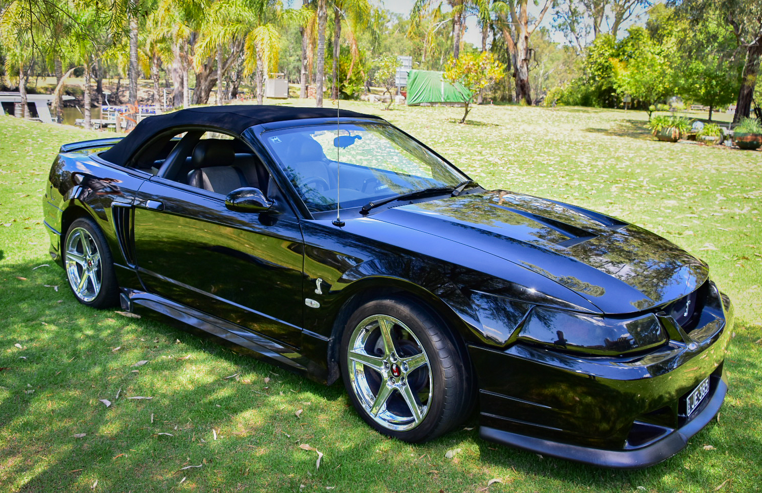 2003 FORD MUSTANG COBRA CONVERTIBLE