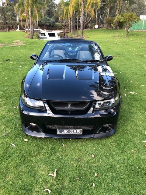 2003 FORD MUSTANG COBRA CONVERTIBLE