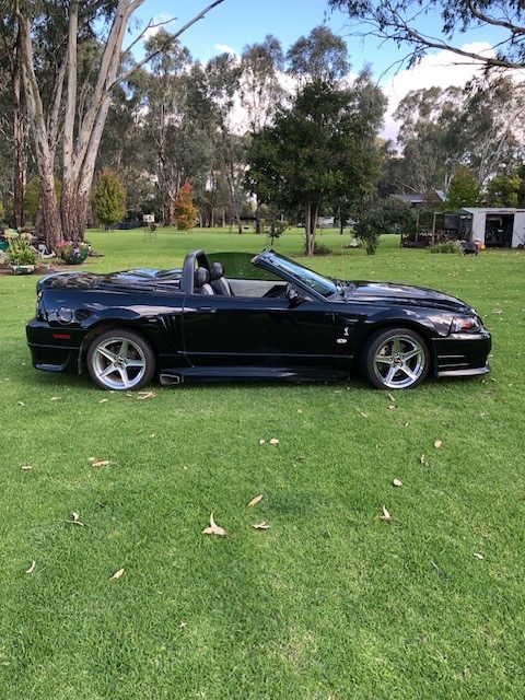 2003 FORD MUSTANG COBRA CONVERTIBLE