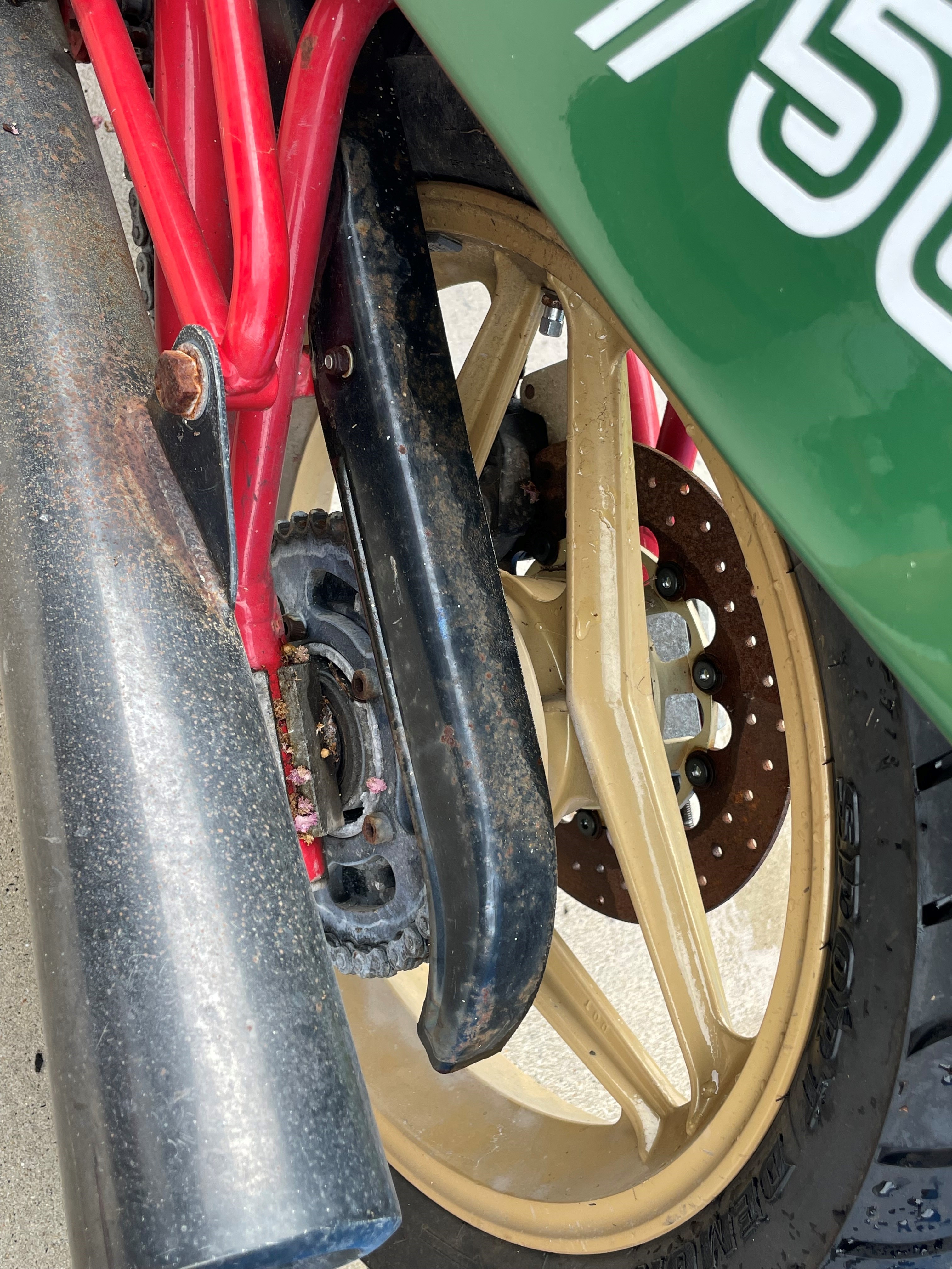 1985 DUCATI 750F1 SPORTS 