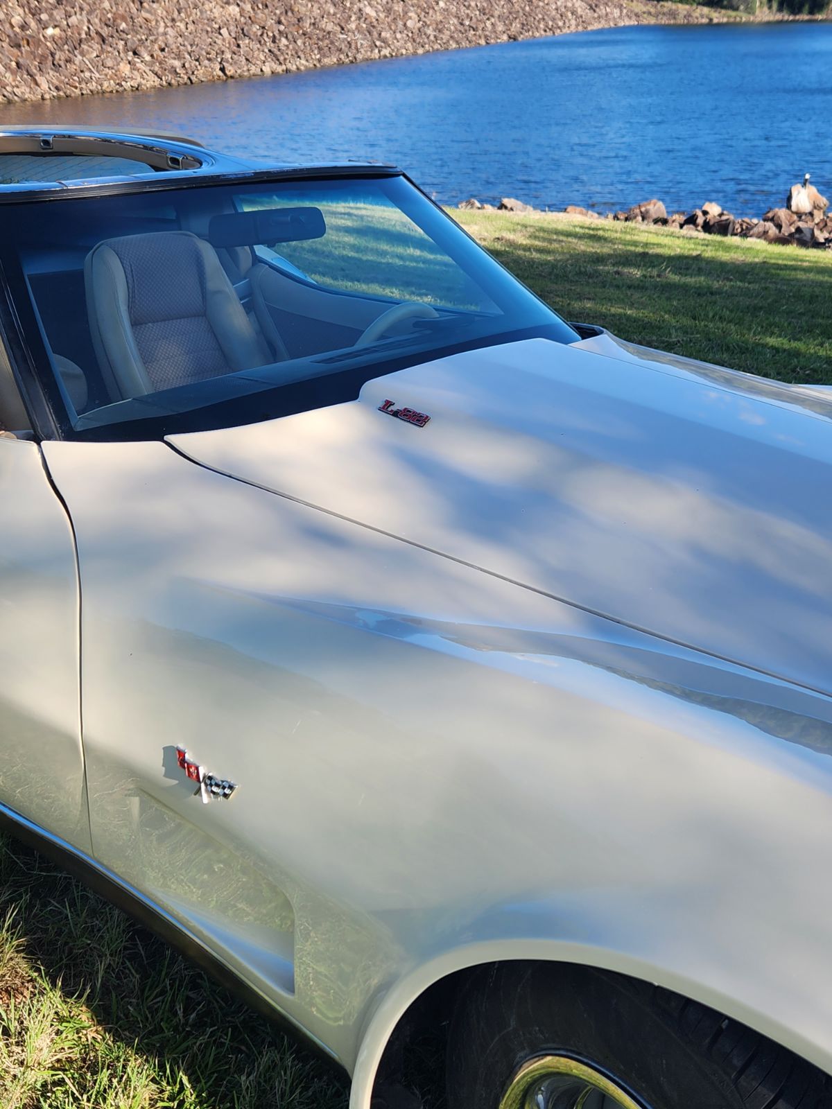 1979 CHEVROLET CORVETTE C3 COUPE