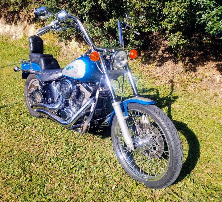 1994 HARLEY-DAVIDSON FXSTC SOFTAIL CUSTOM CRUISER