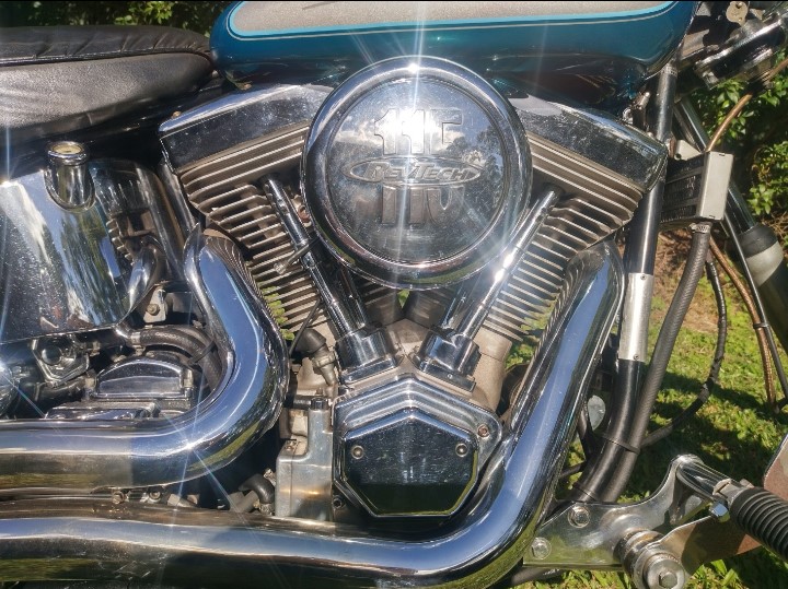 1994 HARLEY-DAVIDSON FXSTC SOFTAIL CUSTOM CRUISER