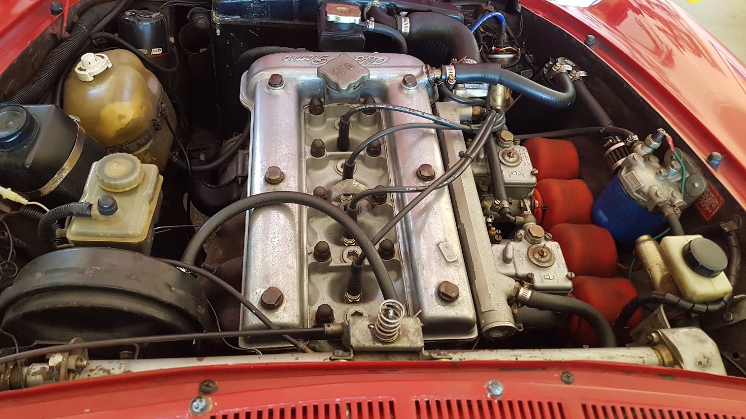 1980 ALFA ROMEO SPIDER 2000 VELOCE ROADSTER