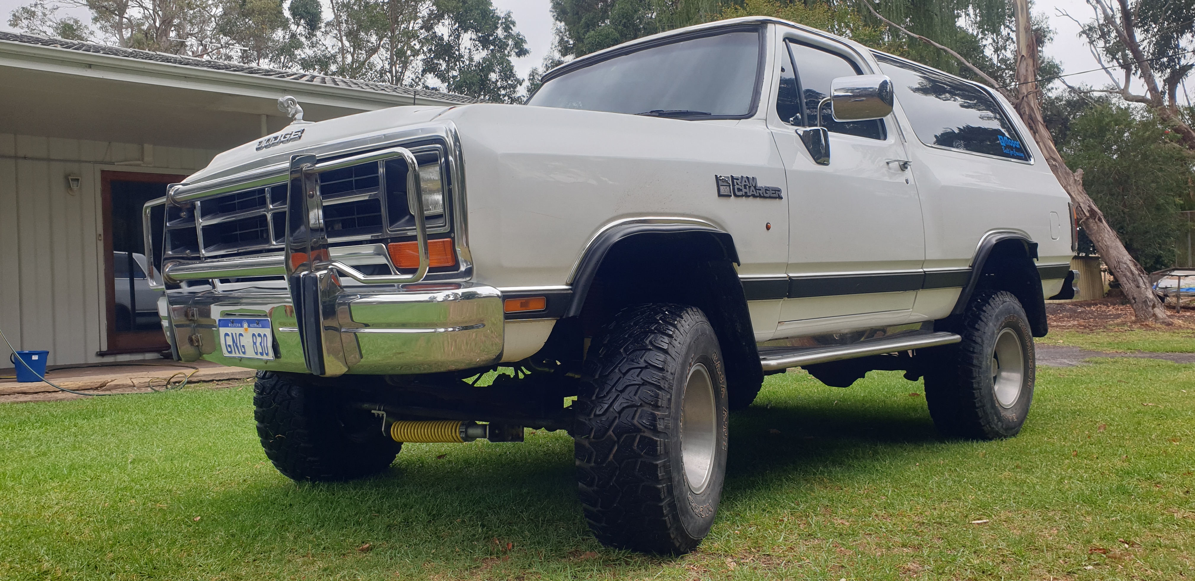 1981 DODGE RAMCHARGER LE150 WAGON