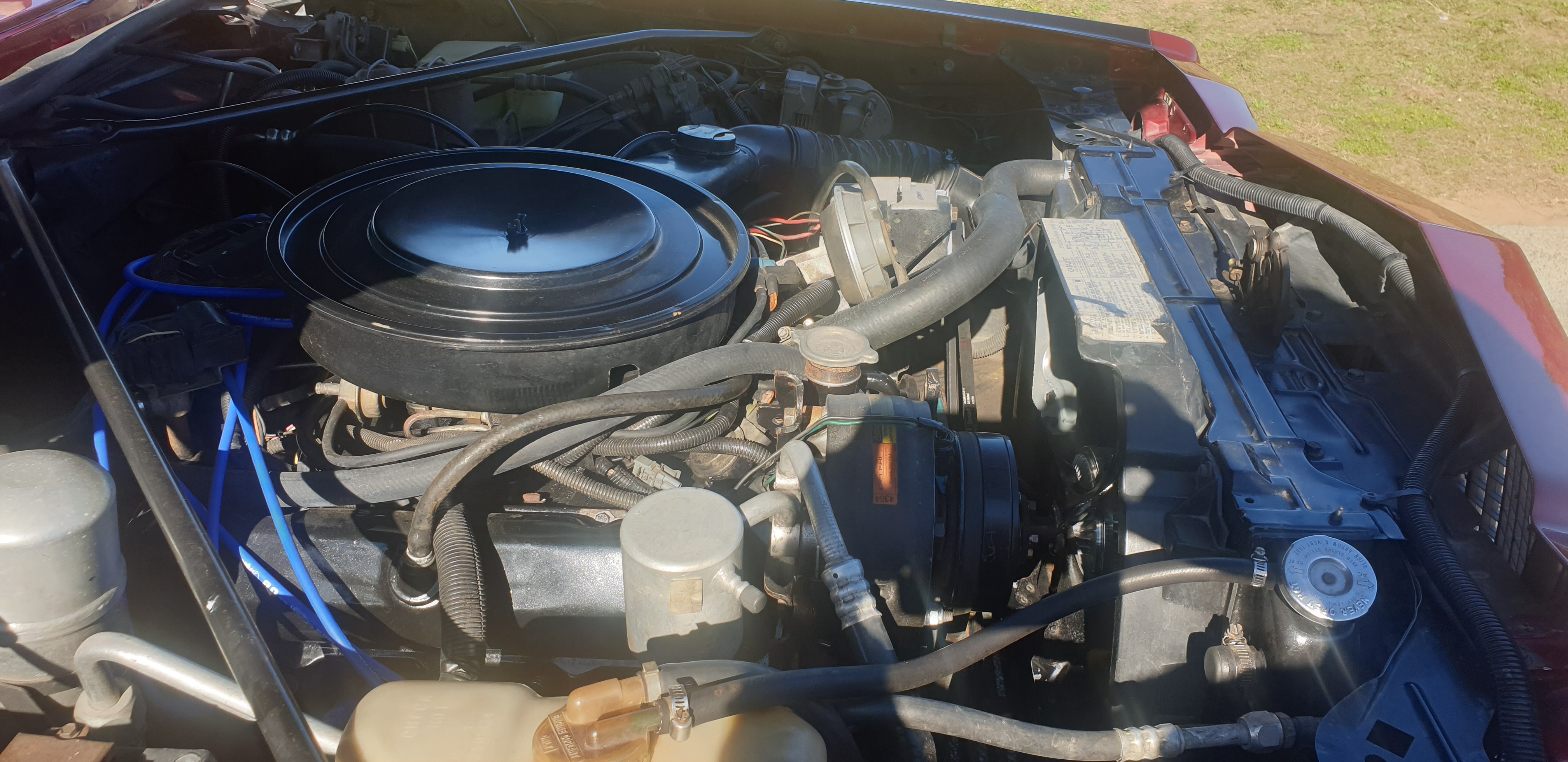 1983 BUICK RIVIERA CONVERTIBLE