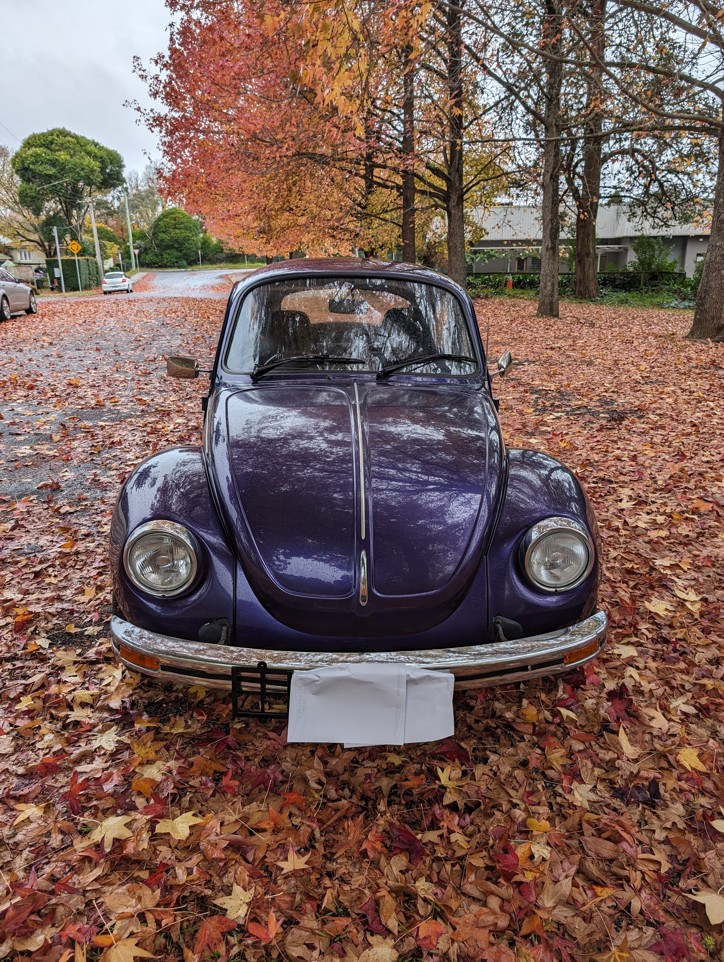 1975 VOLKSWAGEN 1600 SUPER BUG L 4 SP MANUAL 2D SEDAN
