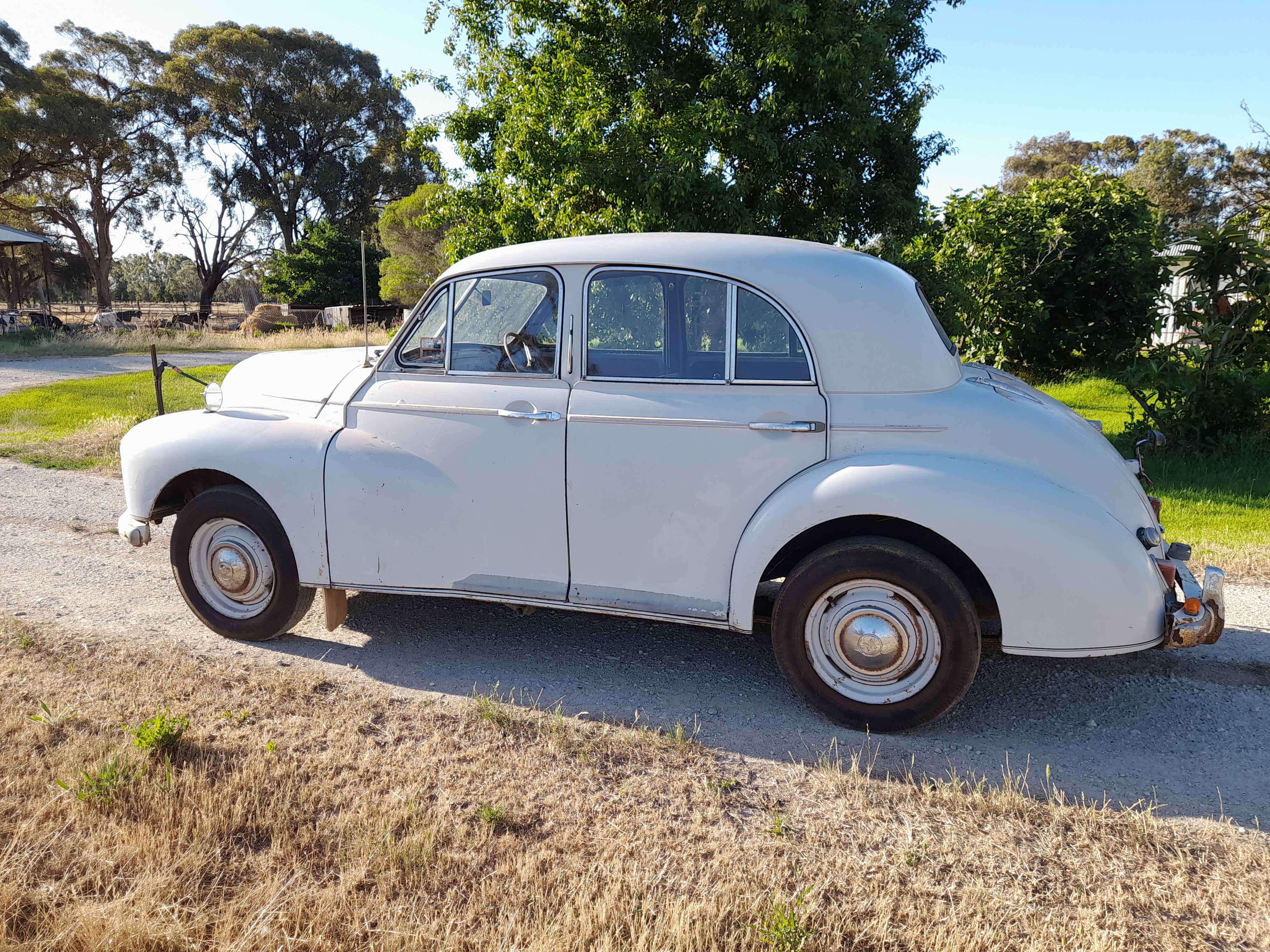 1953 MORRIS OXFORD MO SEDAN