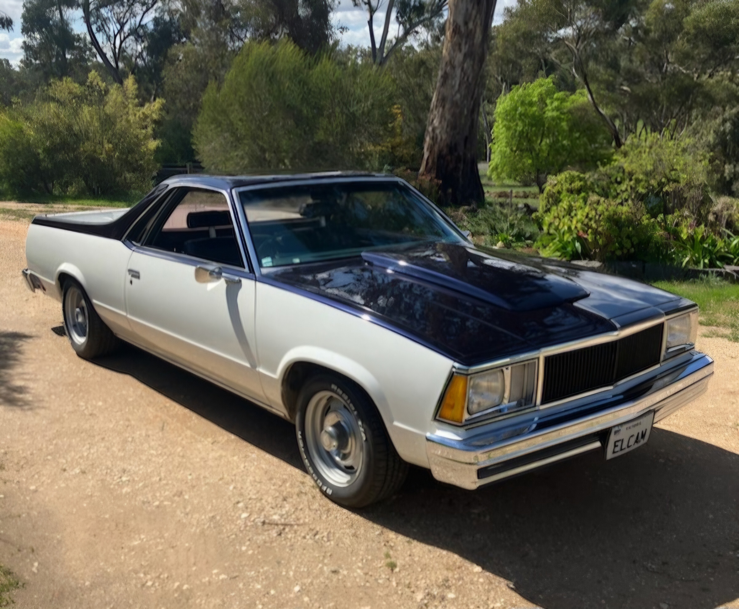 1980 CHEVROLET EL CAMINO UTILITY