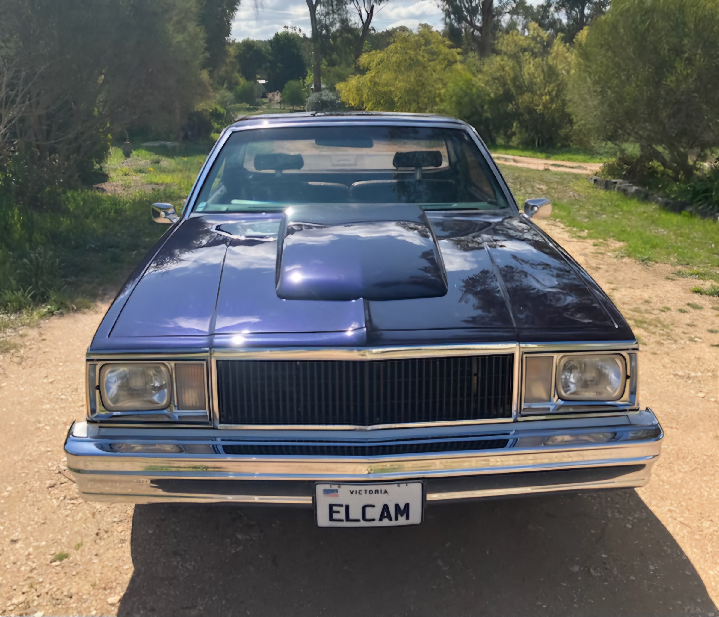1980 CHEVROLET EL CAMINO UTILITY