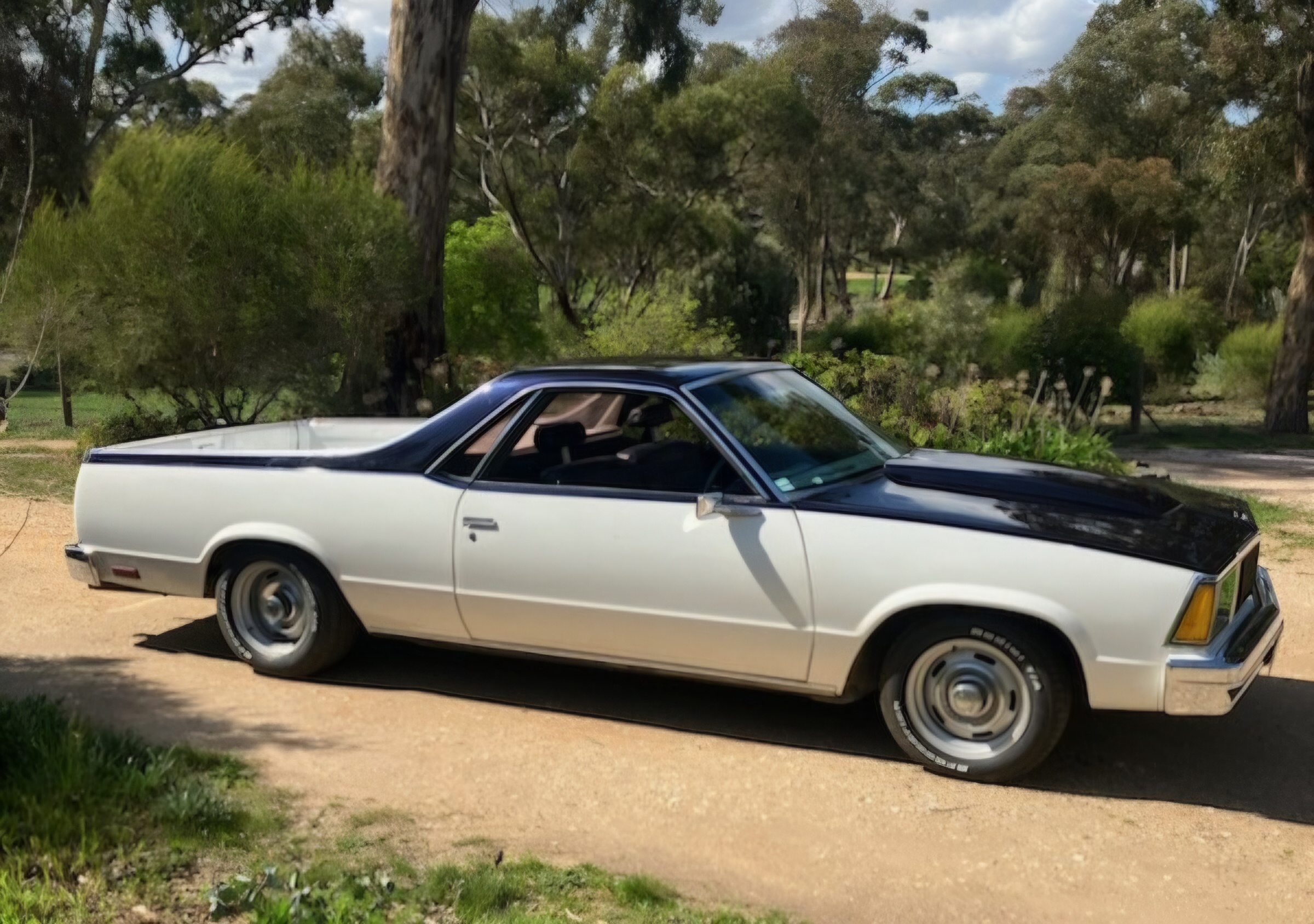 1980 CHEVROLET EL CAMINO UTILITY