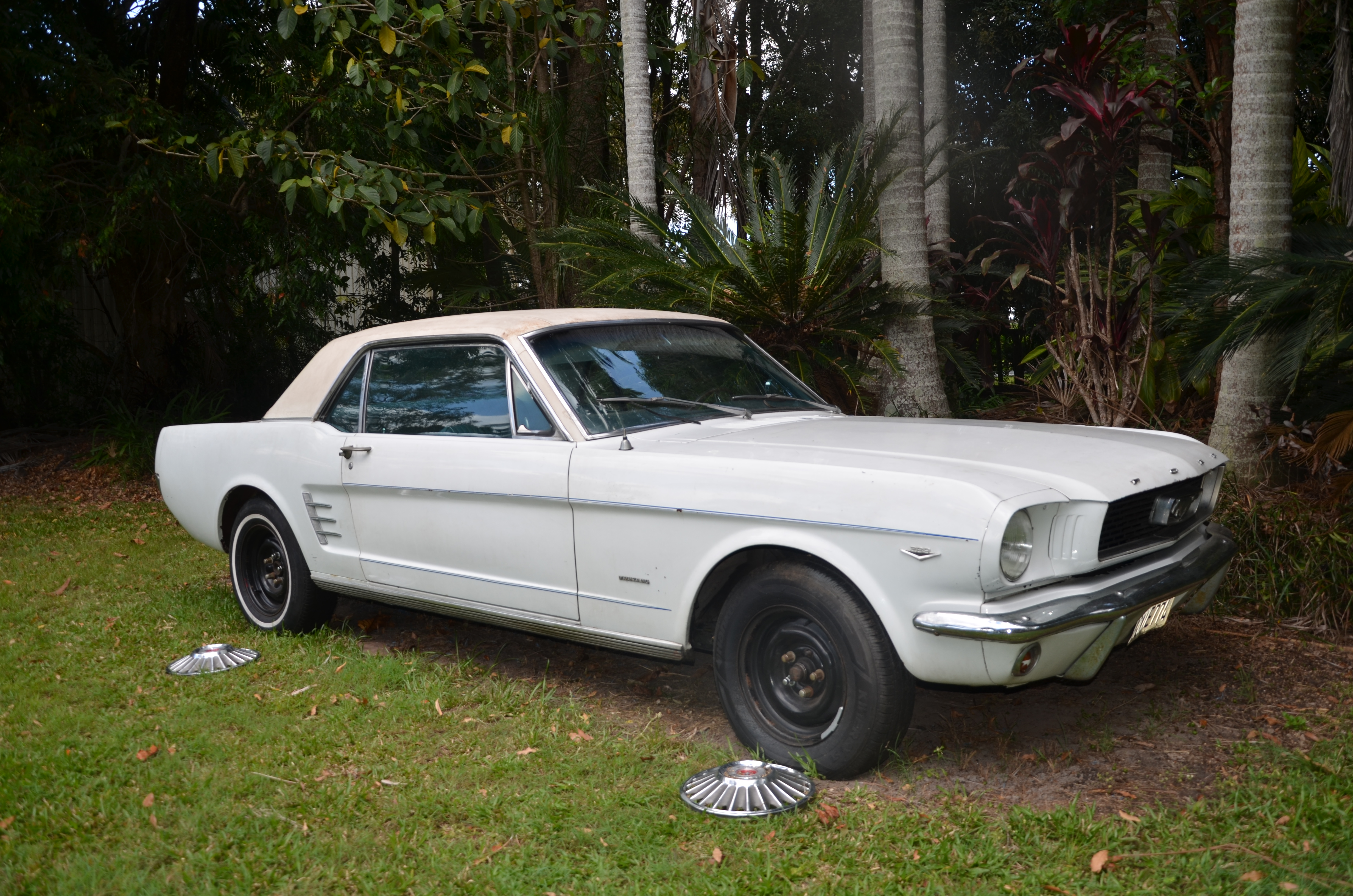 1966 FORD MUSTANG GT COUPE