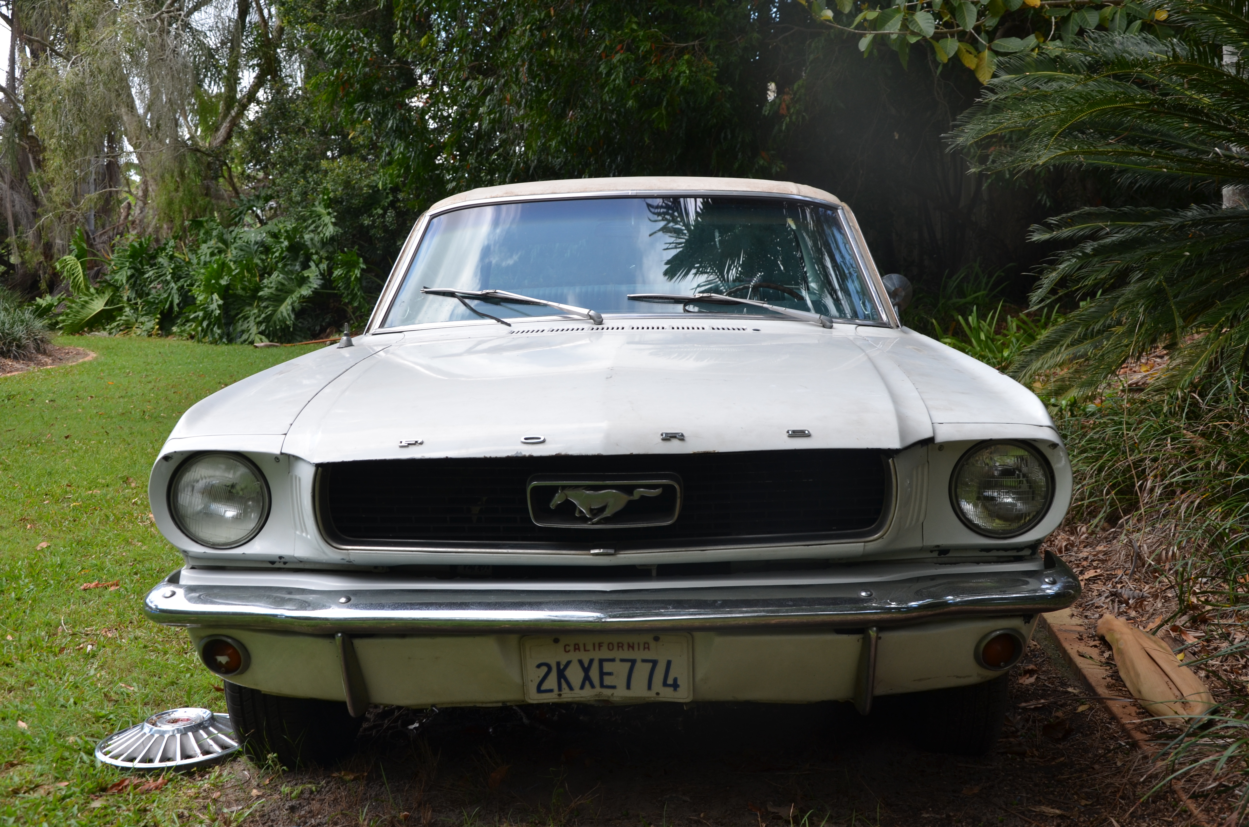1966 FORD MUSTANG GT COUPE