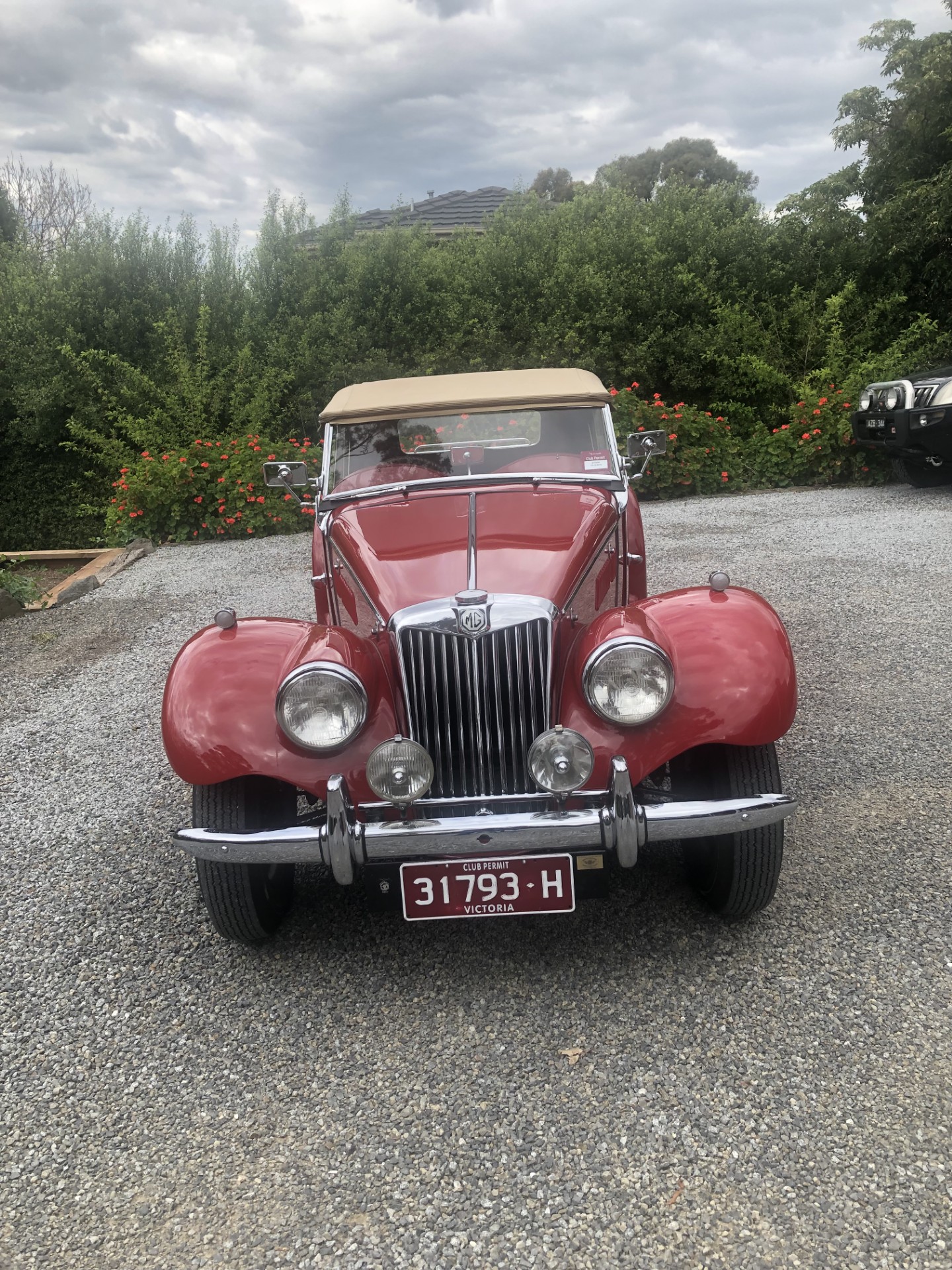 1954 M.G. TF ROADSTER 