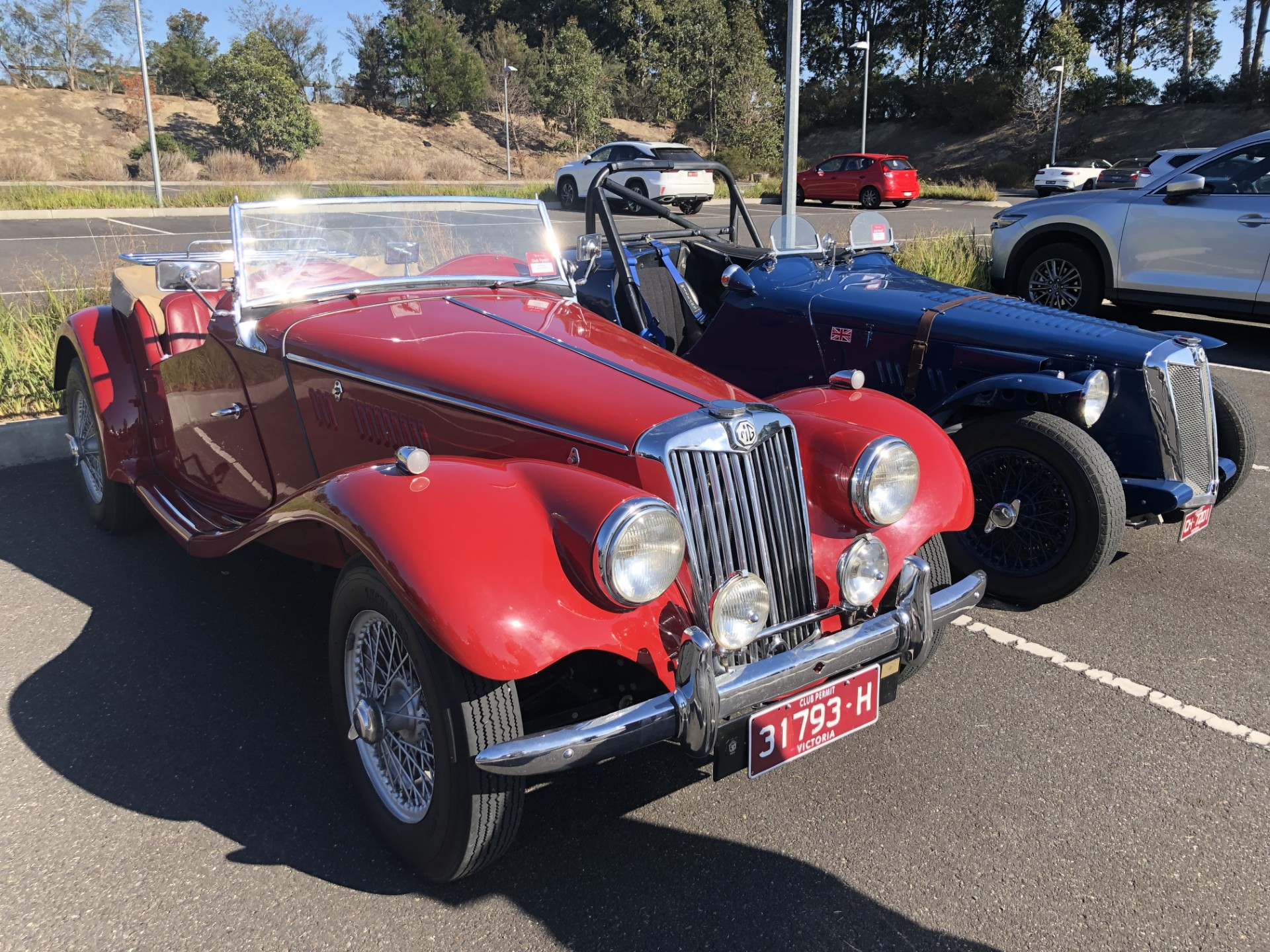 1954 M.G. TF ROADSTER 