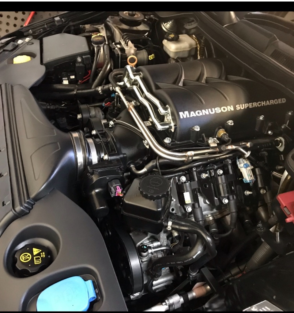 2012 HSV GTS E3 MY12.5 25TH ANNIVERSARY 6 SP MANUAL 4D SEDAN