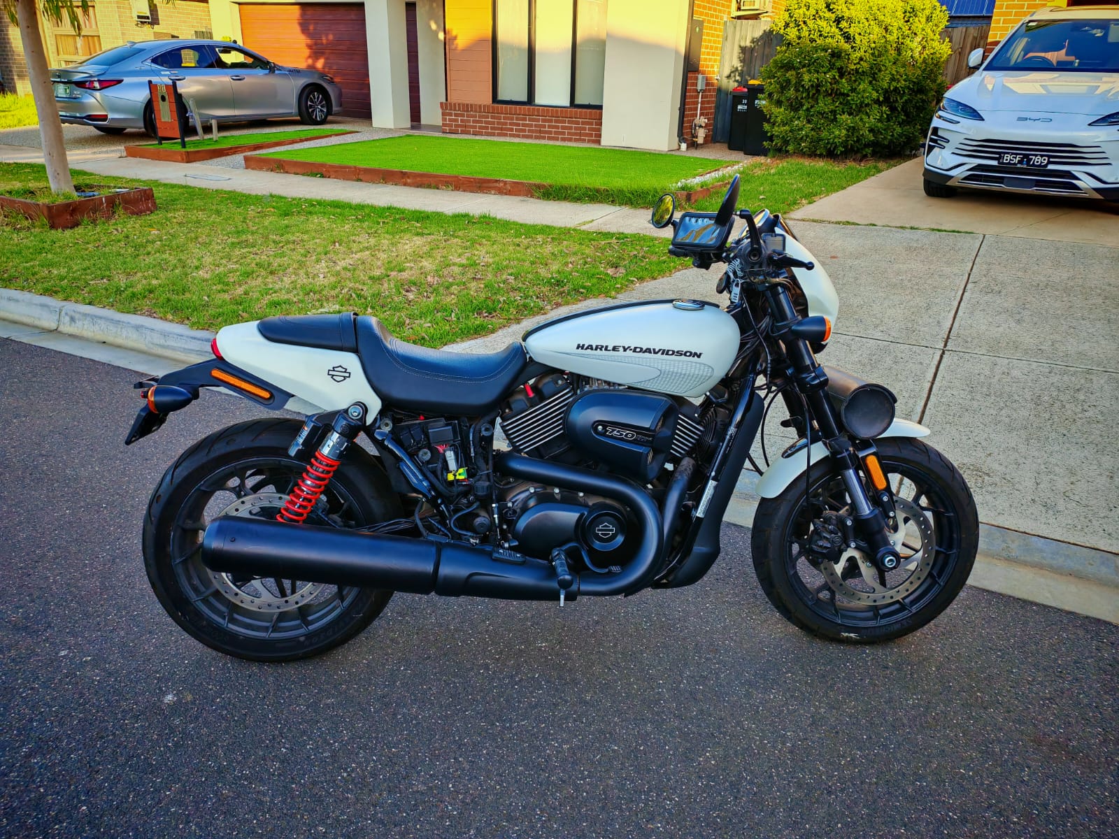 2017 HARLEY-DAVIDSON STREET ROD CRUISER