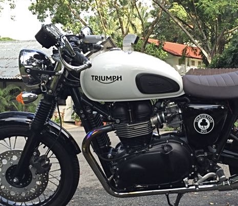 2014 TRIUMPH THRUXTON 900 ROAD
