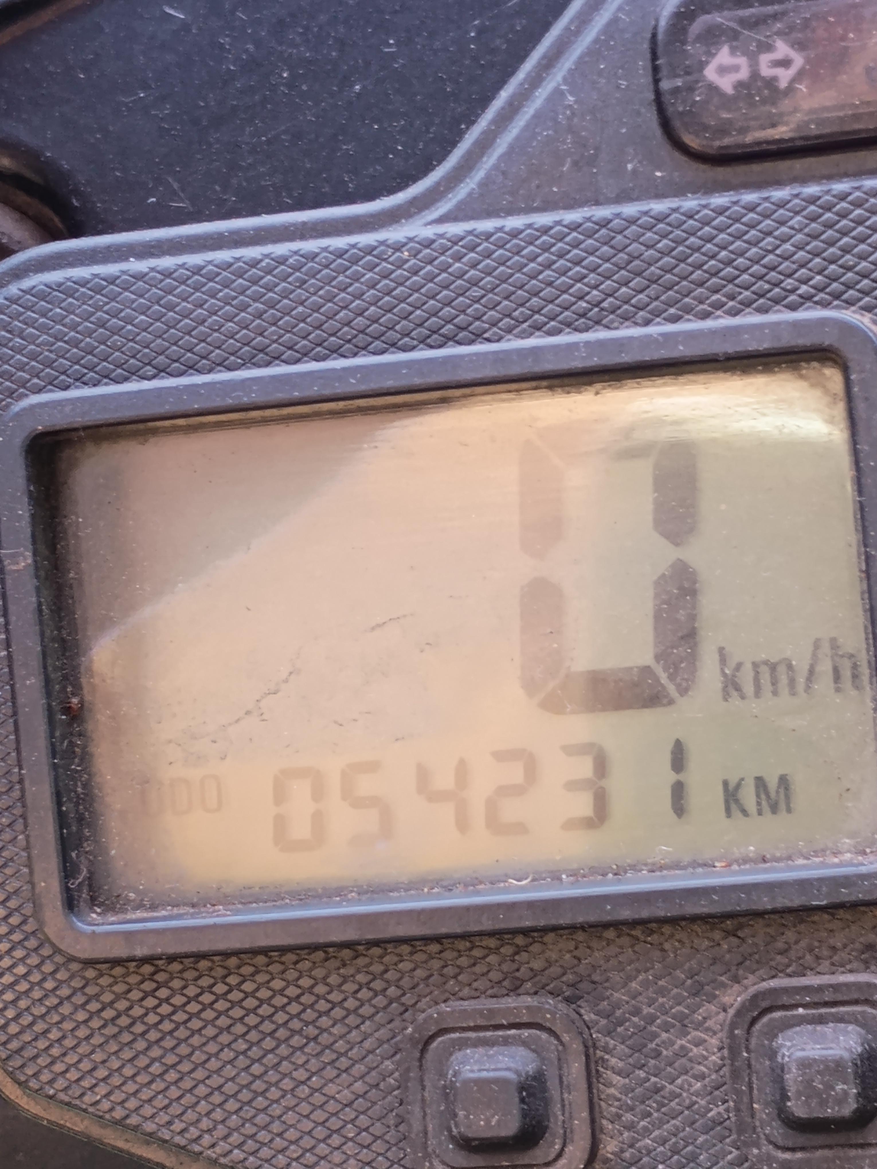 2006 TRIUMPH T955i (DAYTONA 955i) SPORTS