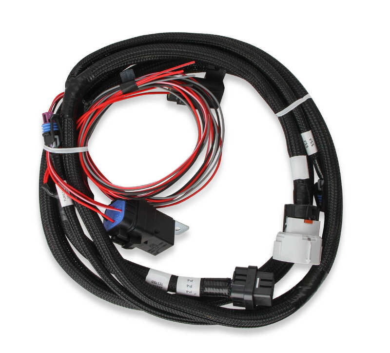 Holley EFI Engine Management Systems, Terminator X, MAX, For Chevrolet, LS1, LS6, 4L60/4L80 Transmission, Drive By Wire, .Each