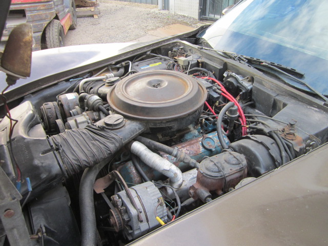 1980 CHEVROLET CORVETTE LHD 4 SP MANUAL COUPE