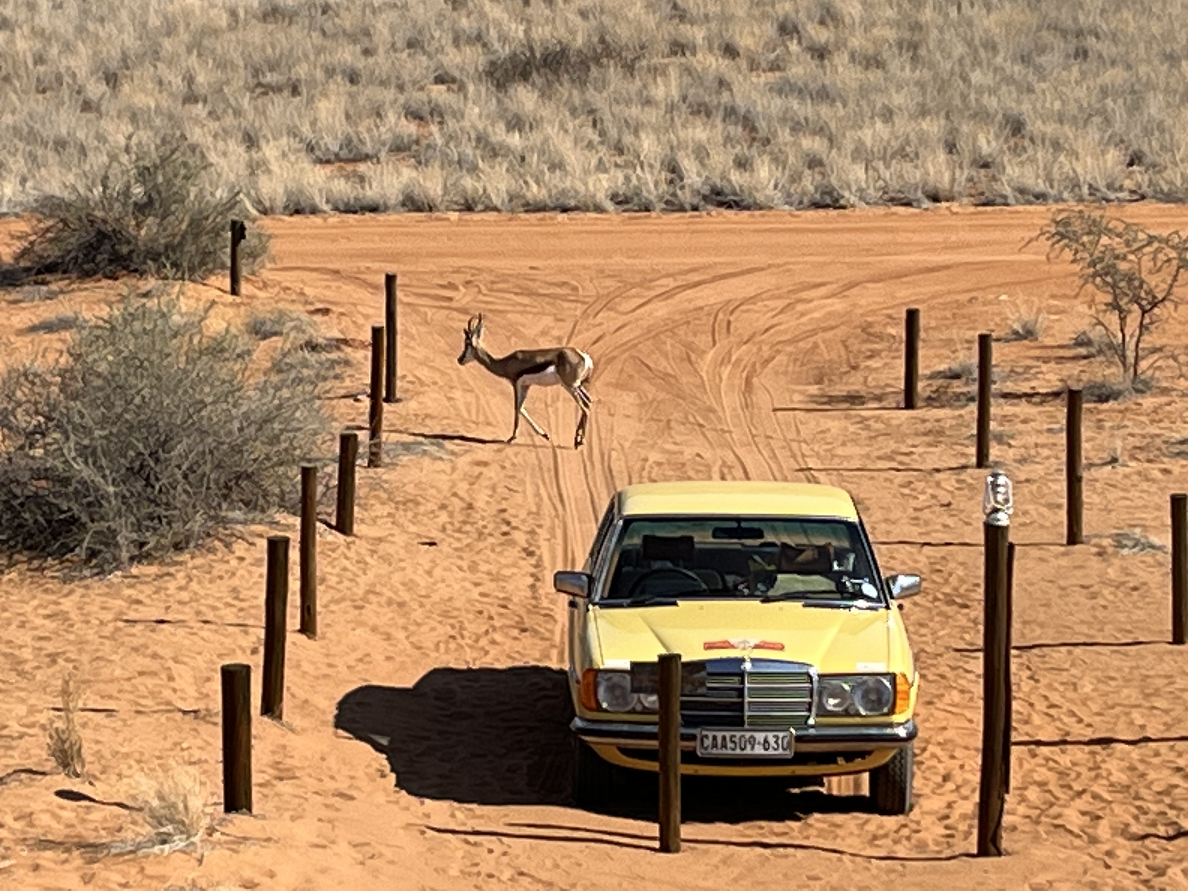1979 MERCEDES-BENZ 230 W123 MANUAL SEDAN