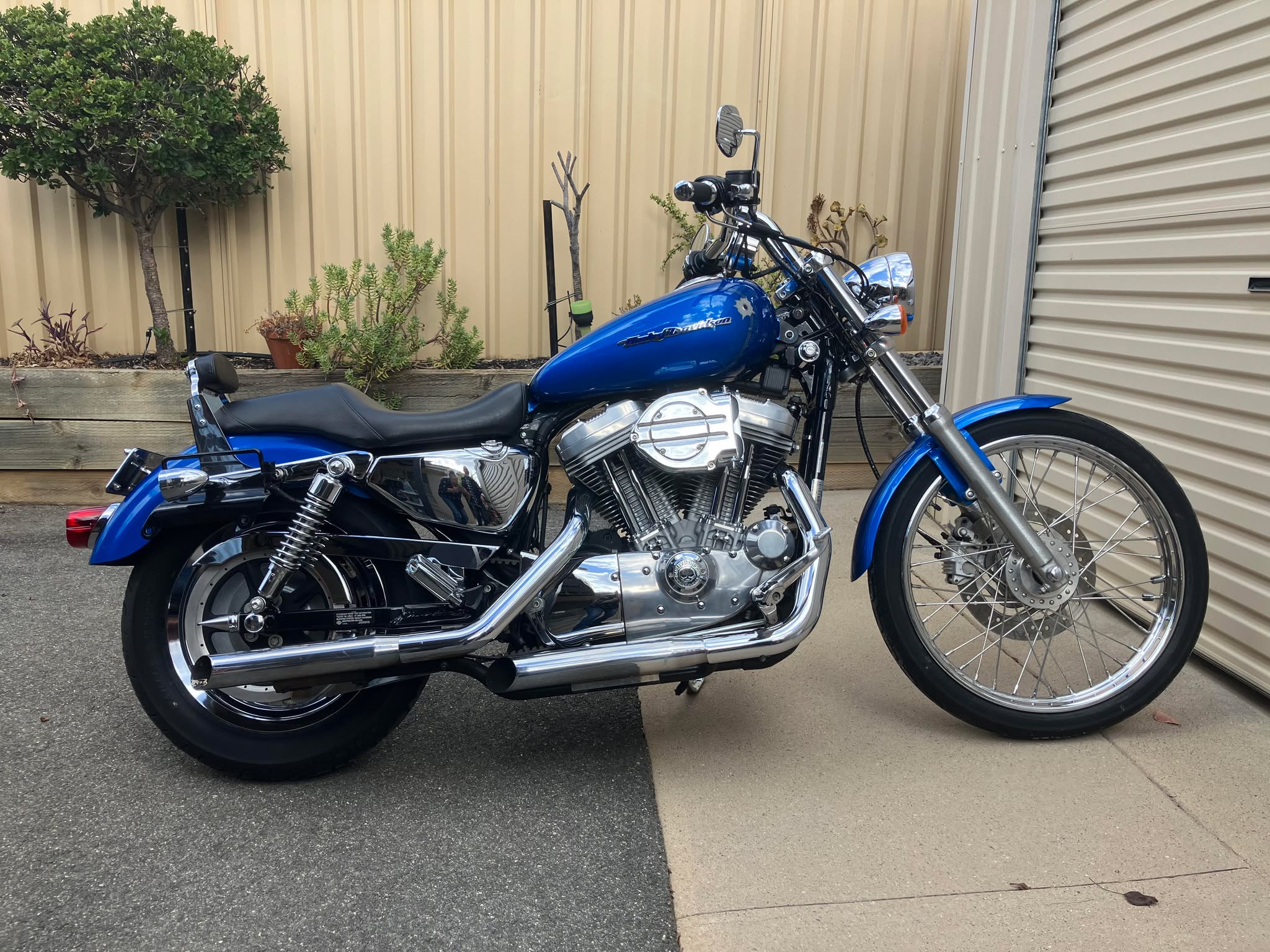 2004 HARLEY-DAVIDSON XL1200C SPORTSTER CUSTOM CRUISER