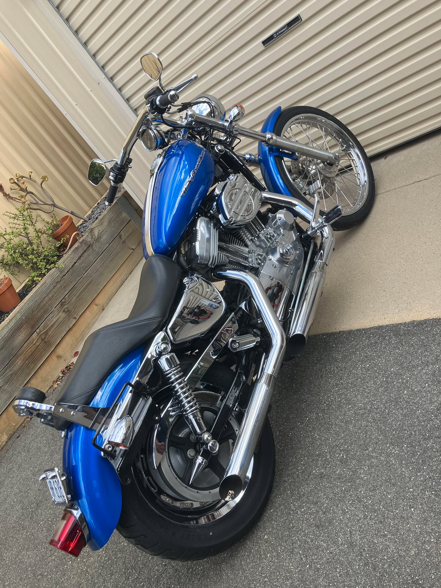 2004 HARLEY-DAVIDSON XL1200C SPORTSTER CUSTOM CRUISER