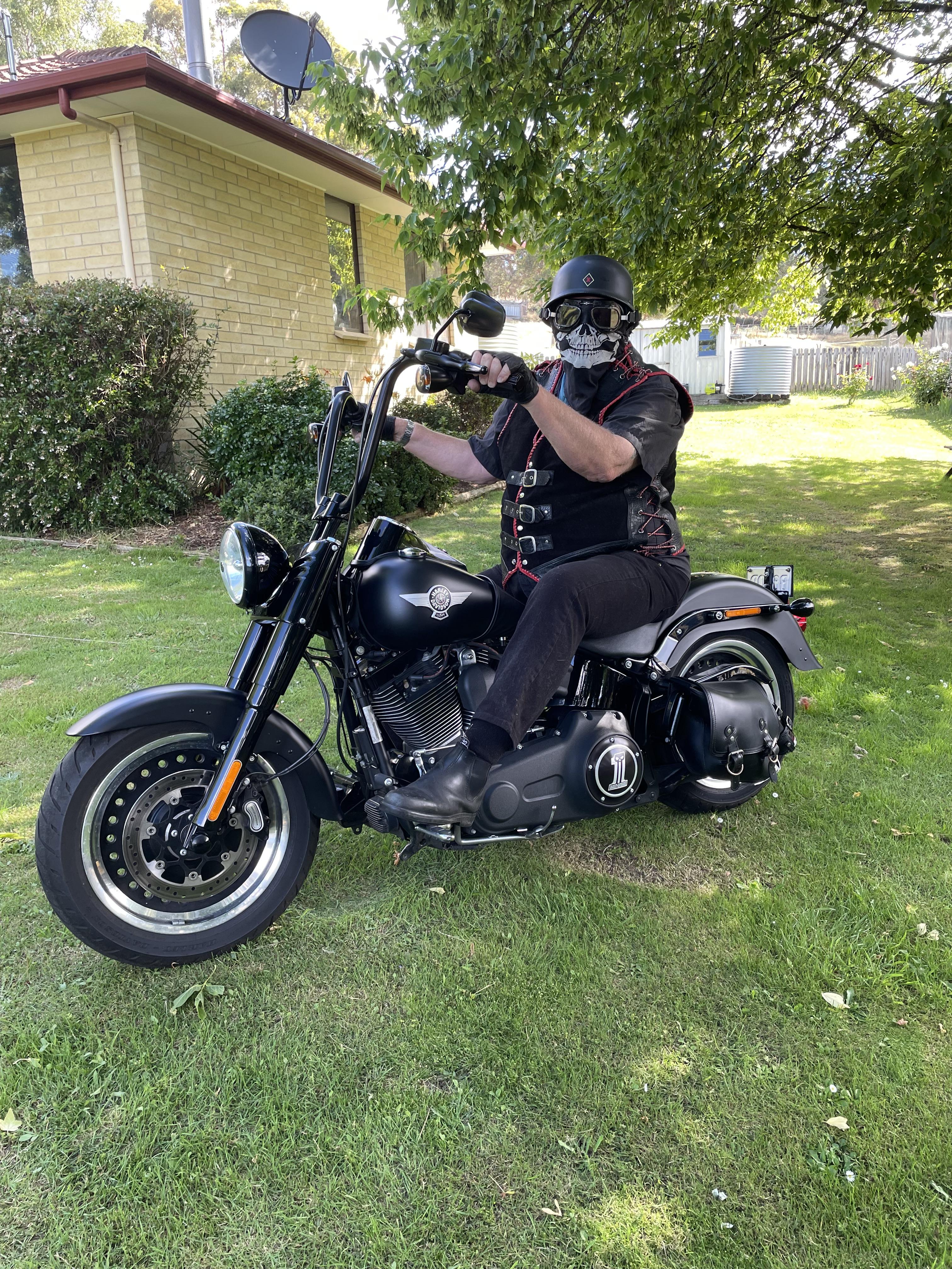 2017 HARLEY-DAVIDSON FLSTFBS FAT BOY S CRUISER