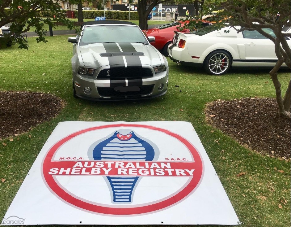 2011 FORD SHELBY CONVERTIBLE