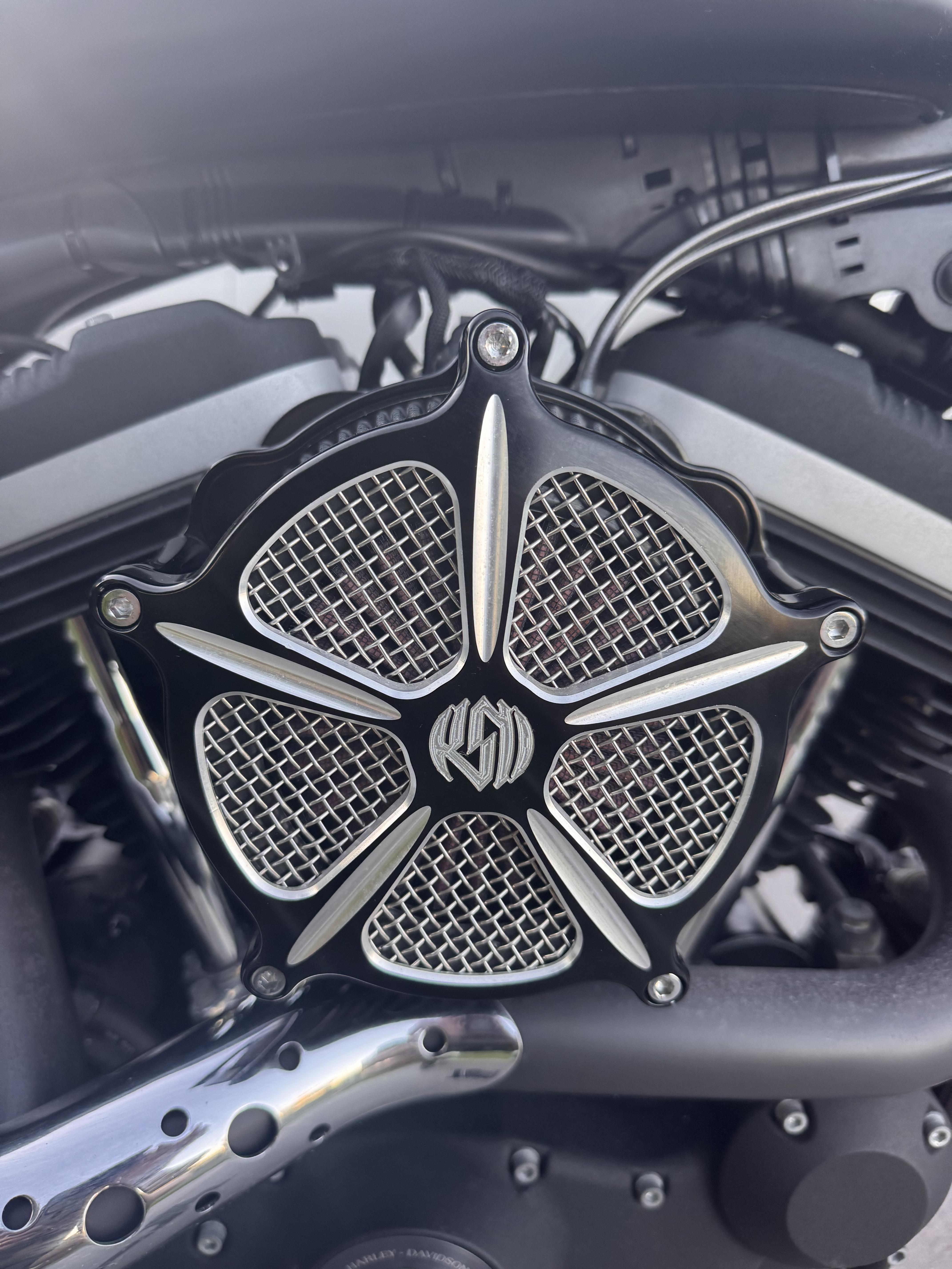 2010 HARLEY-DAVIDSON XL883 IRON 883 CRUISER